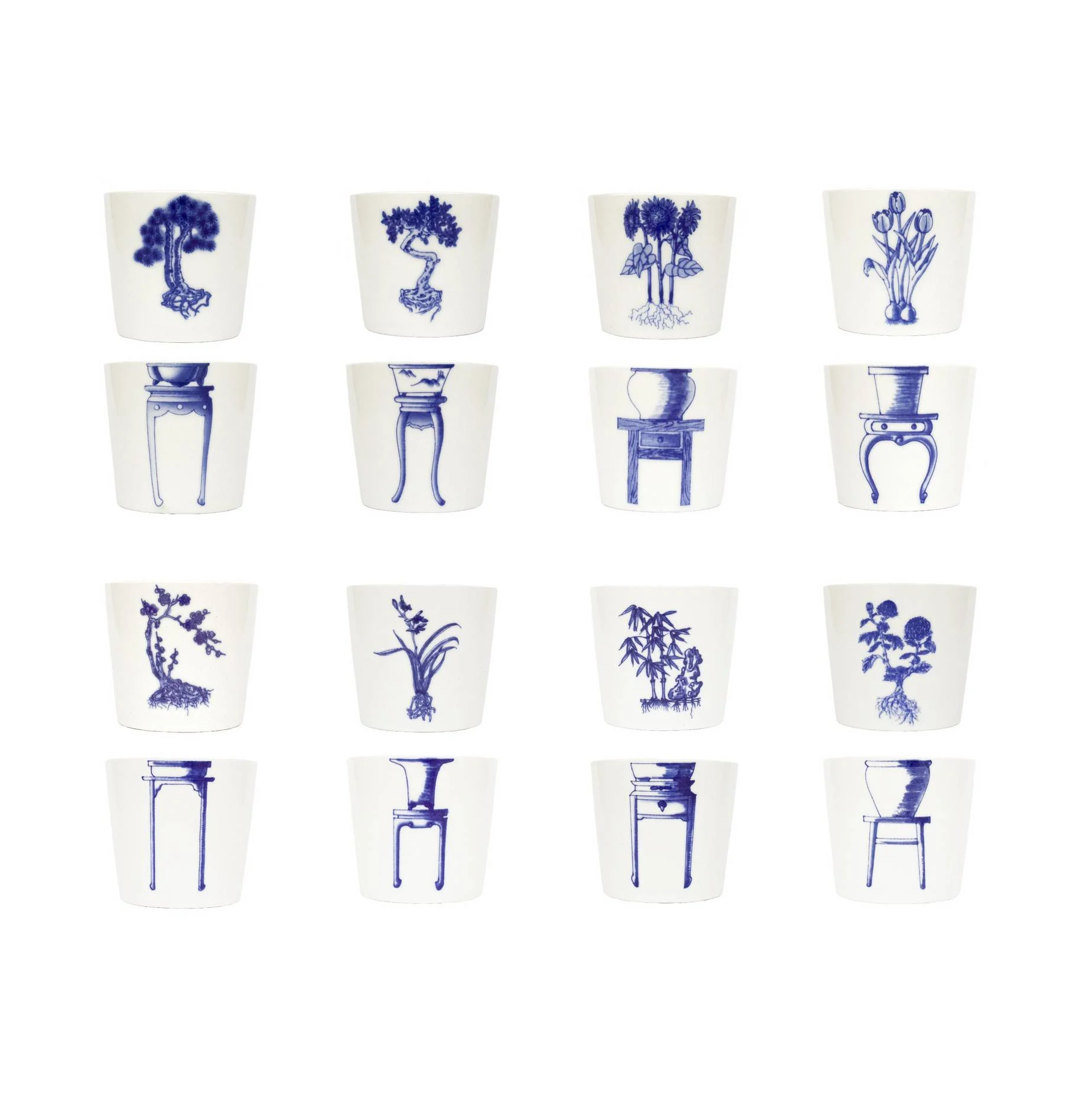 Bonsai kopje  - orchidee - Afbeelding 3