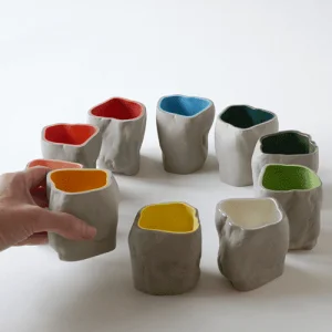 Stonecup coral - Afbeelding 3