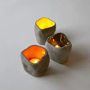 Stonecup coral - Afbeelding 4