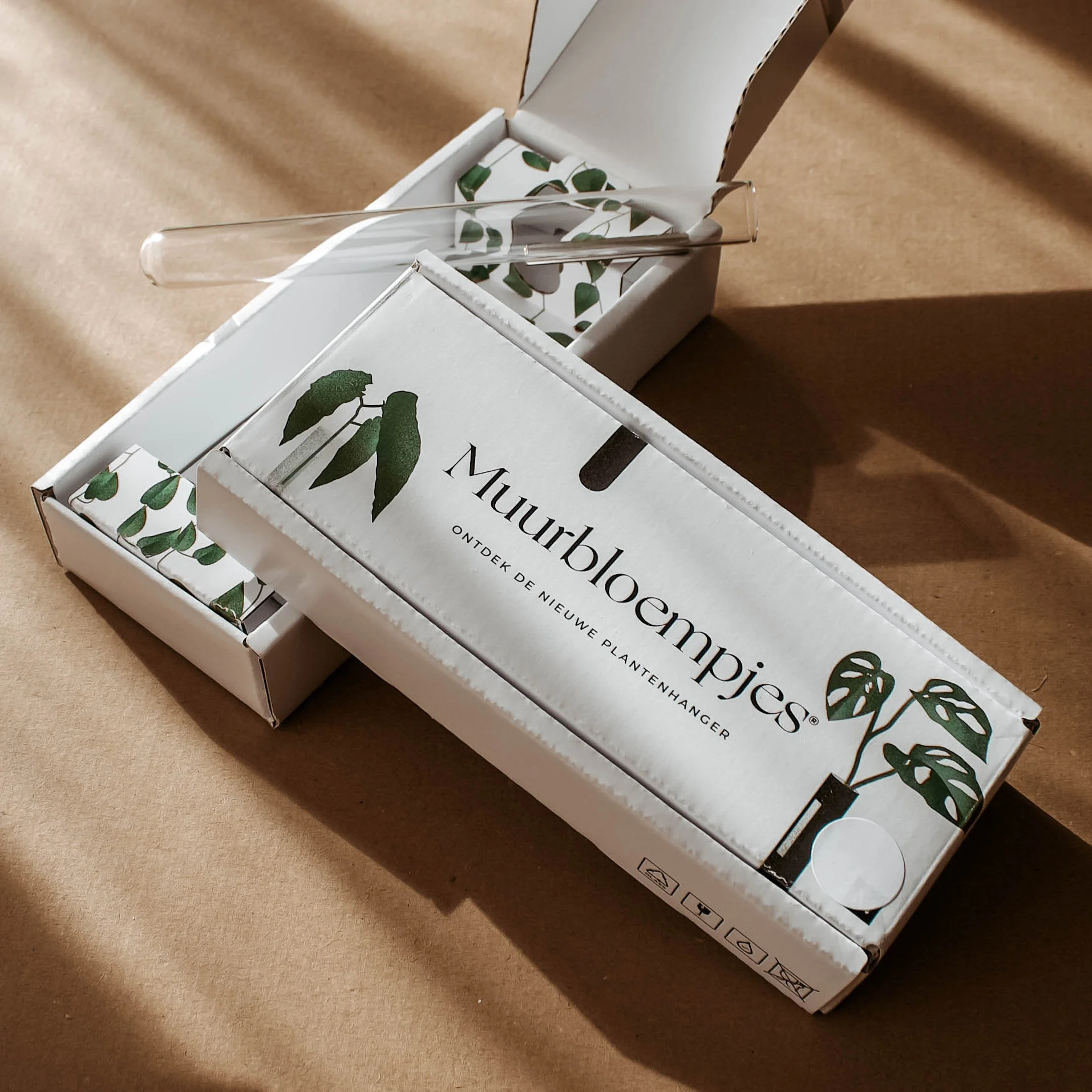 Wallflowers-glass-1 piece - Image 4